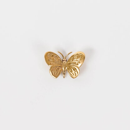 Bronze Butterfly